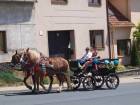 Babské hody (24.6.2017)