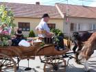Babské hody (23.6.2012)