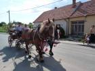 Babské hody (23.6.2012)