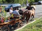 Babské hody (23.6.2012)
