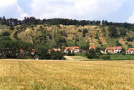 Pohled na vinohrady